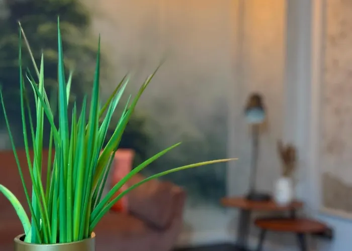 Z A B R S A I N T Z Dusza Xviii *